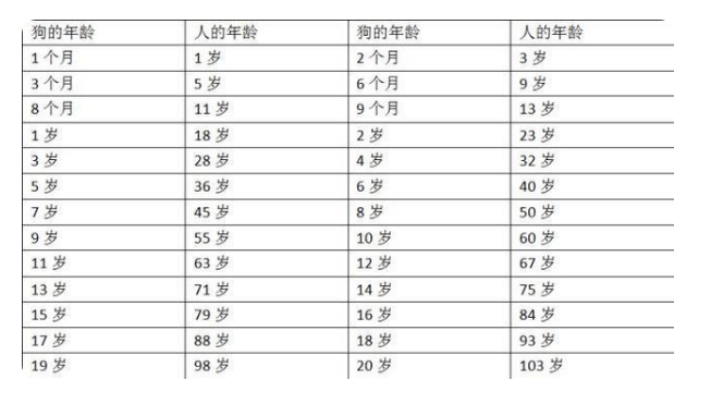 狗年龄与人类年龄对照表